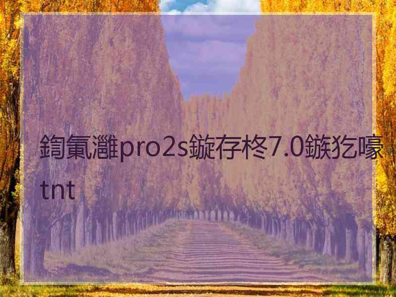 鍧氭灉pro2s鏇存柊7.0鏃犵嚎tnt