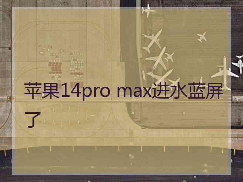 苹果14pro max进水蓝屏了