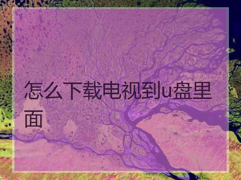 怎么下载电视到u盘里面