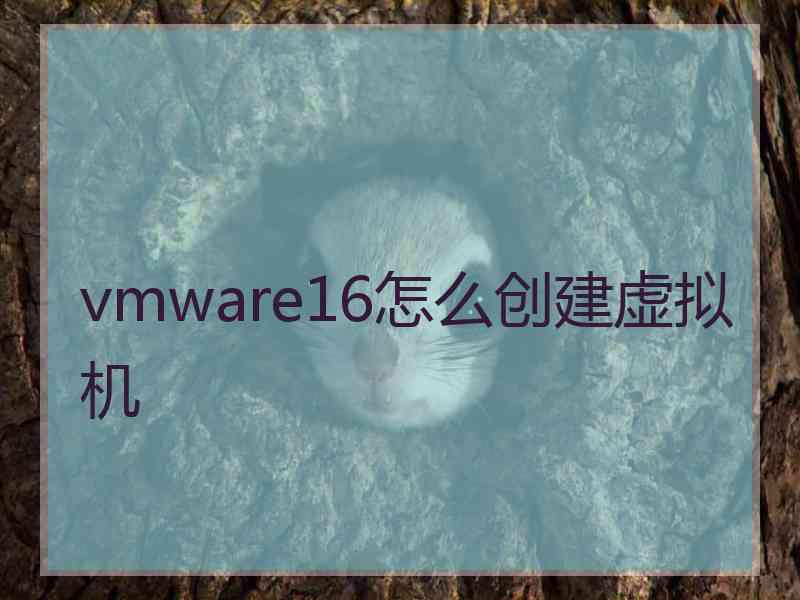 vmware16怎么创建虚拟机