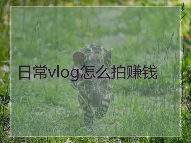 日常vlog怎么拍赚钱