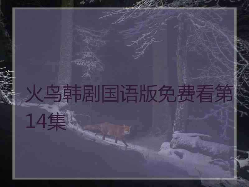 火鸟韩剧国语版免费看第14集