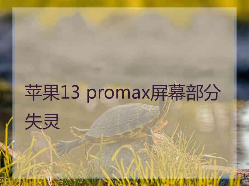 苹果13 promax屏幕部分失灵