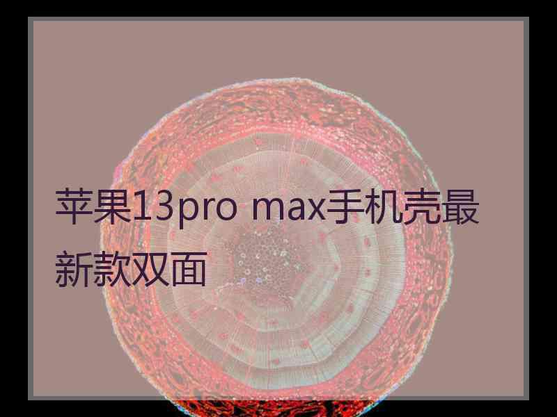 苹果13pro max手机壳最新款双面