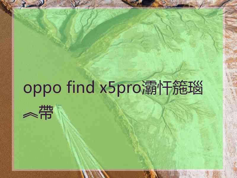 oppo find x5pro灞忓箷瑙︽帶