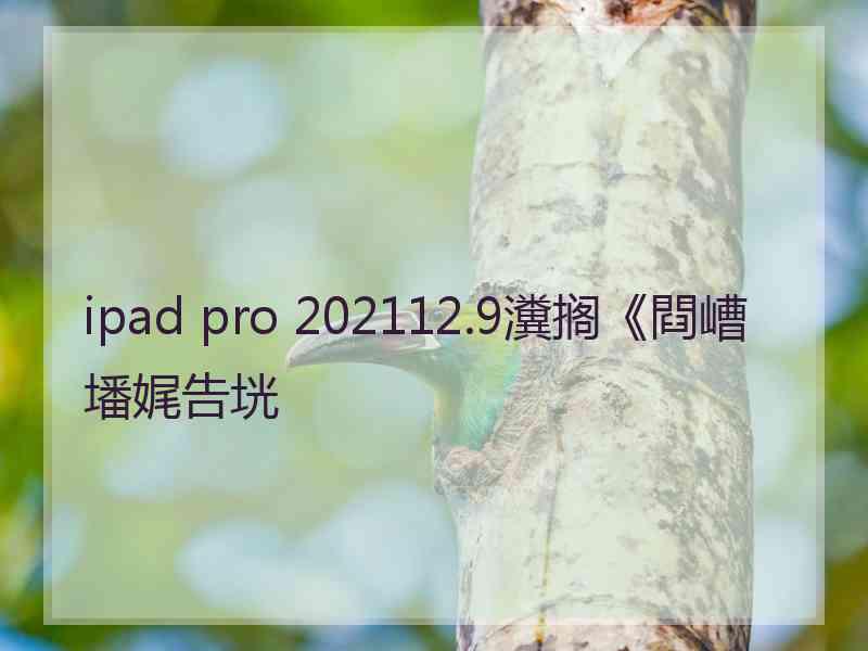 ipad pro 202112.9瀵搁《閰嶆墦娓告垙