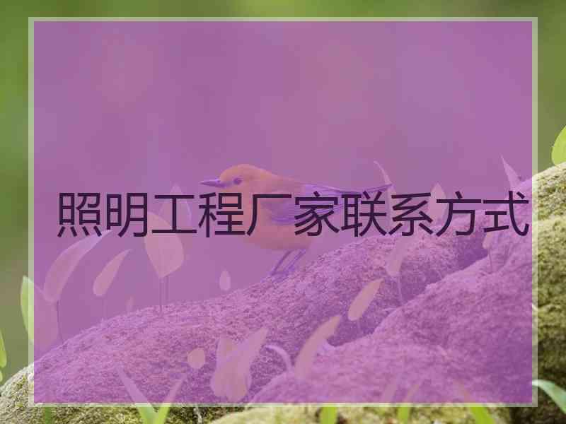 照明工程厂家联系方式