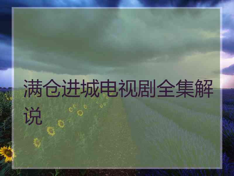 满仓进城电视剧全集解说