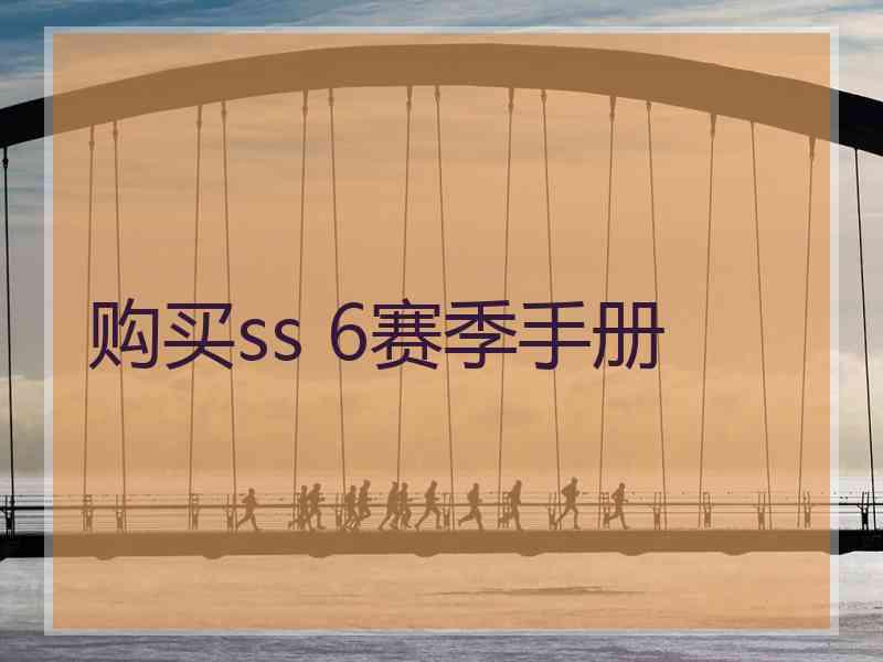 购买ss 6赛季手册