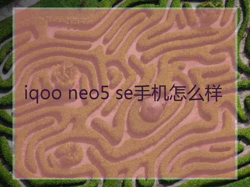 iqoo neo5 se手机怎么样