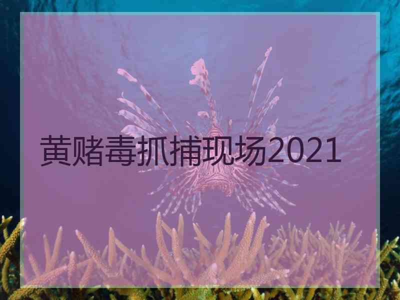 黄赌毒抓捕现场2021