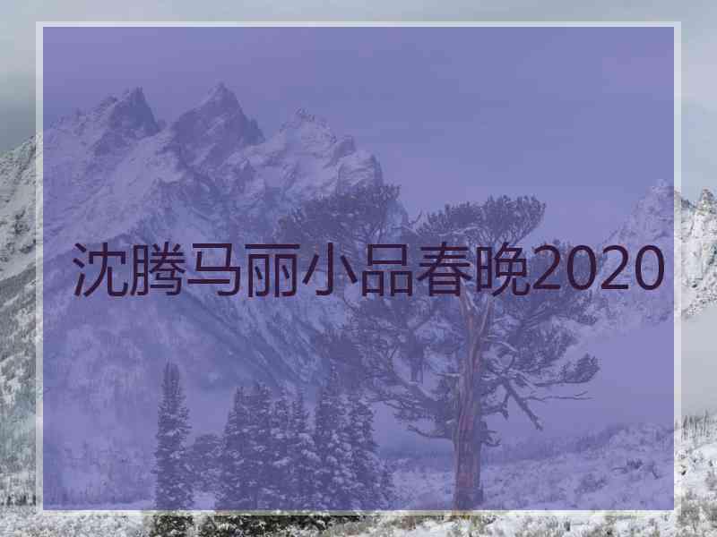 沈腾马丽小品春晚2020