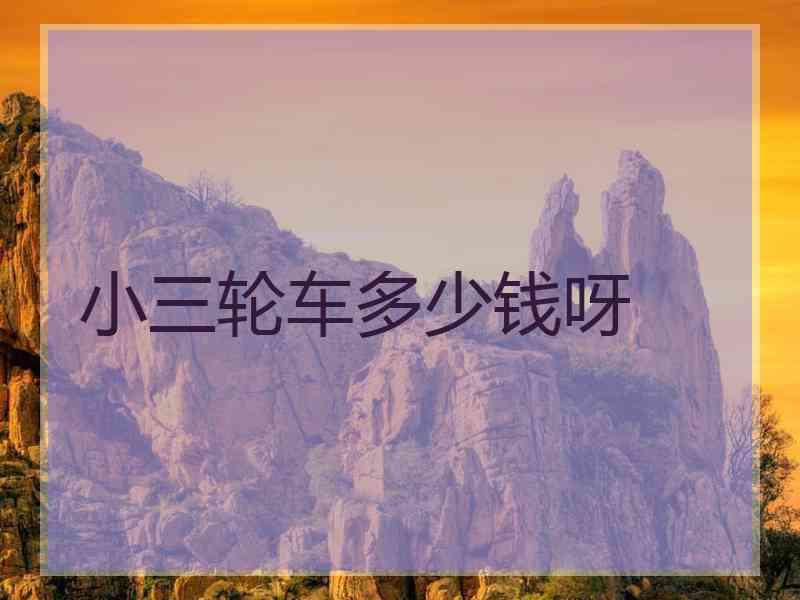 小三轮车多少钱呀