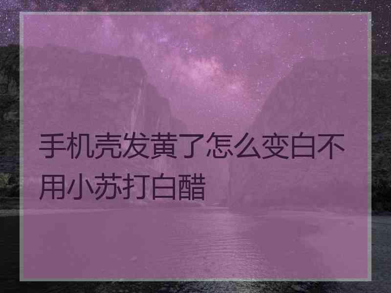 手机壳发黄了怎么变白不用小苏打白醋