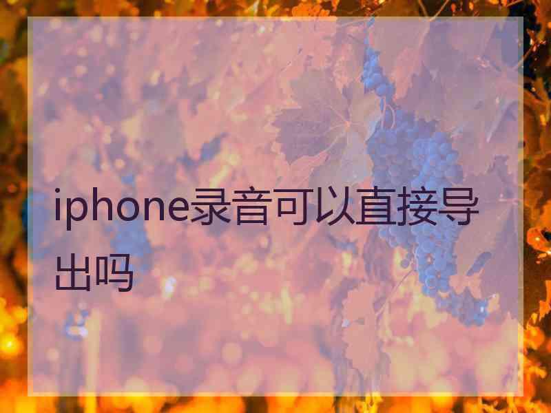 iphone录音可以直接导出吗