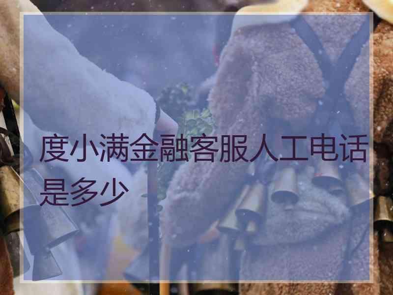 度小满金融客服人工电话是多少