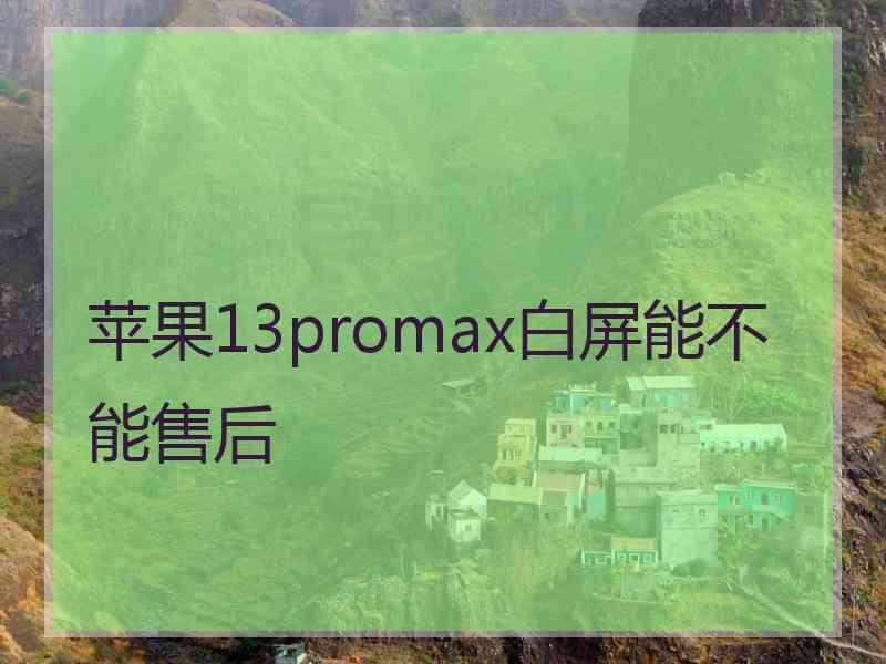 苹果13promax白屏能不能售后