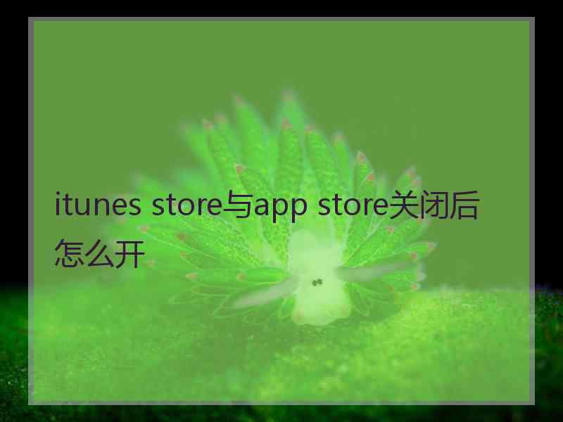 itunes store与app store关闭后怎么开