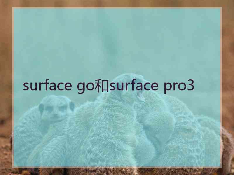 surface go和surface pro3