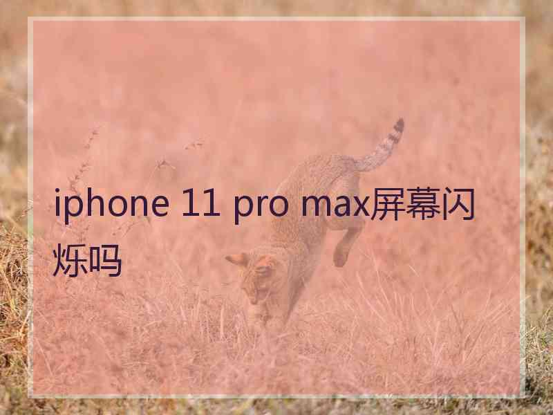 iphone 11 pro max屏幕闪烁吗