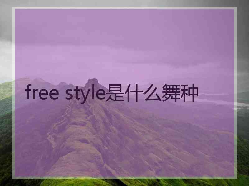 free style是什么舞种