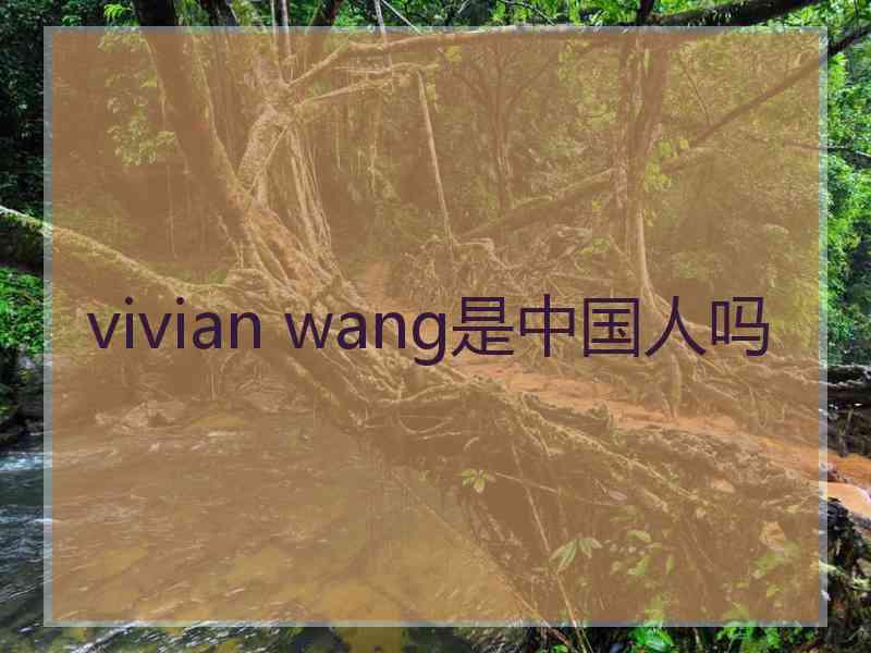 vivian wang是中国人吗