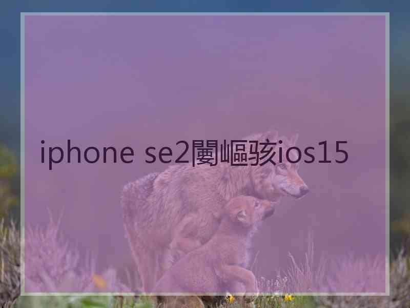 iphone se2闄嶇骇ios15