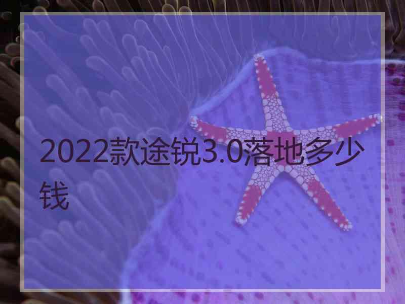 2022款途锐3.0落地多少钱