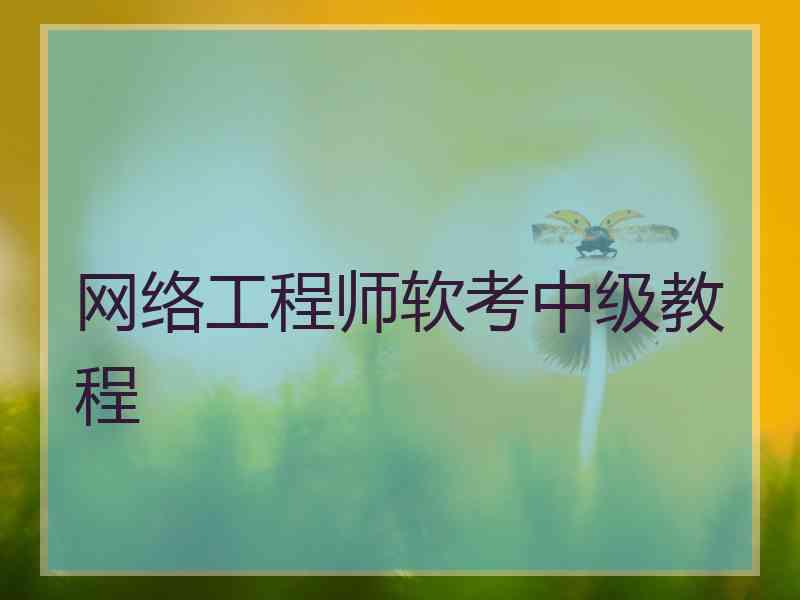 网络工程师软考中级教程