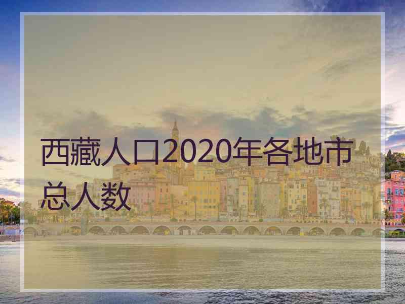 西藏人口2020年各地市总人数