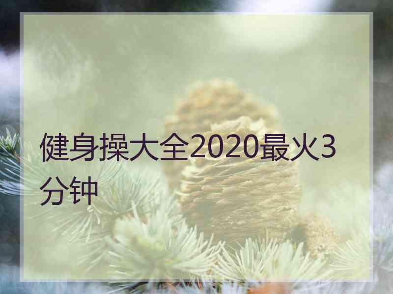 健身操大全2020最火3分钟