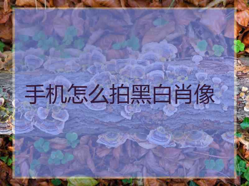 手机怎么拍黑白肖像