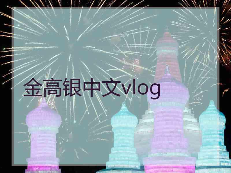 金高银中文vlog