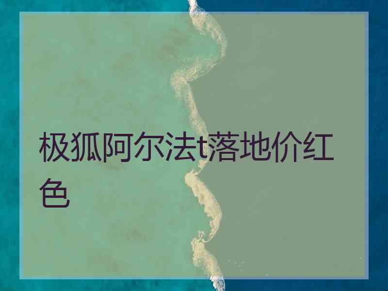 极狐阿尔法t落地价红色