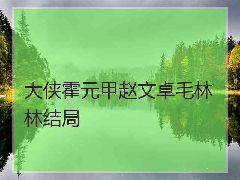 大侠霍元甲赵文卓毛林林结局