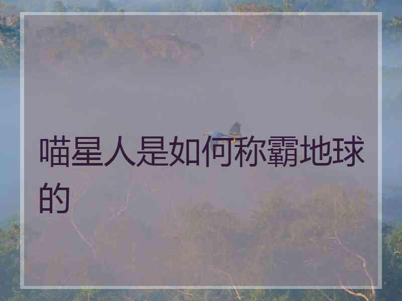 喵星人是如何称霸地球的