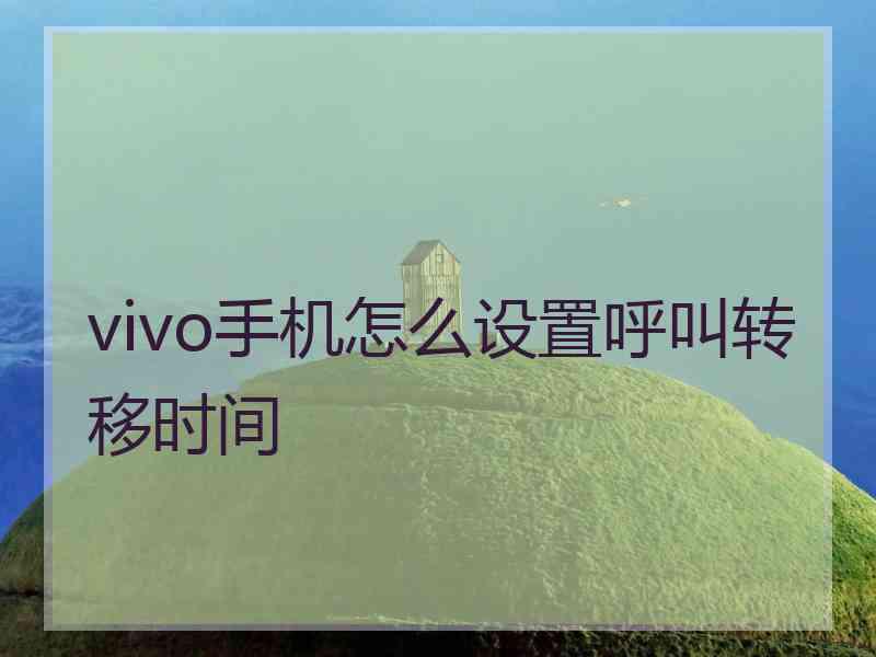 vivo手机怎么设置呼叫转移时间