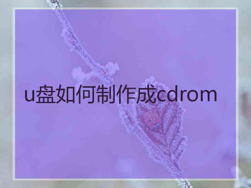 u盘如何制作成cdrom