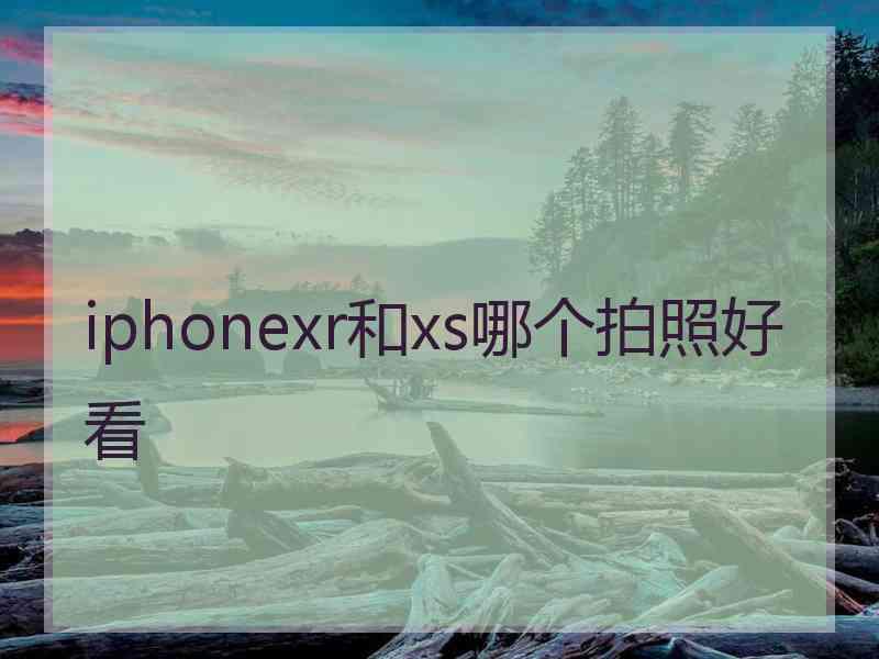 iphonexr和xs哪个拍照好看