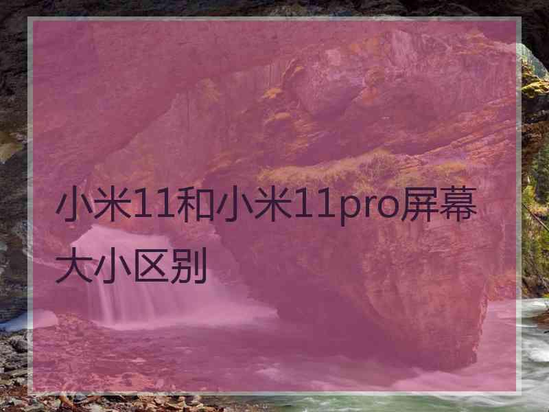 小米11和小米11pro屏幕大小区别