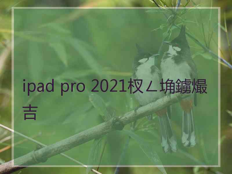 ipad pro 2021杈ㄥ埆鐪熶吉