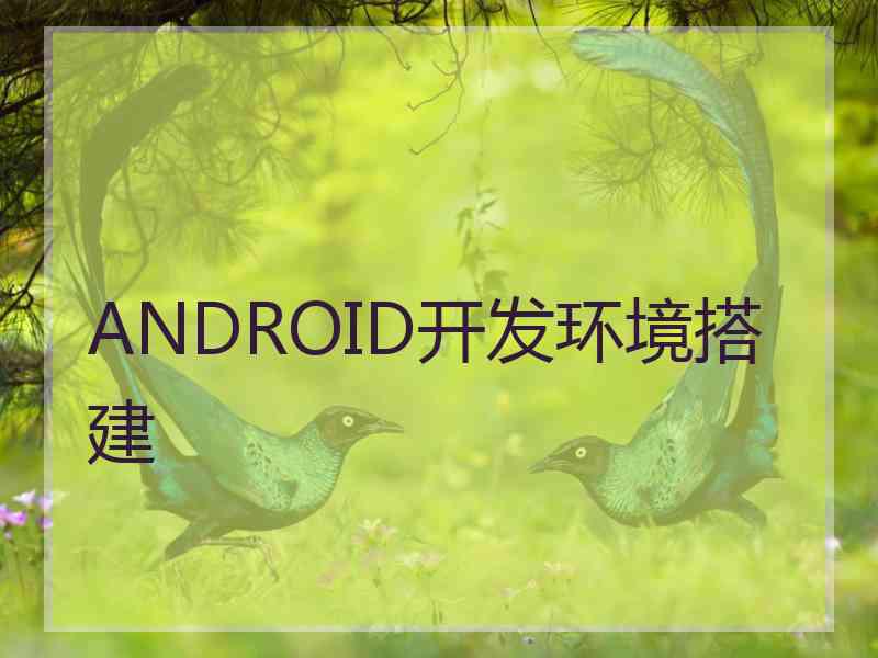 ANDROID开发环境搭建