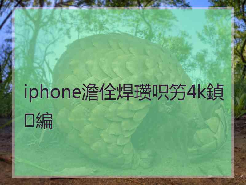 iphone澹佺焊瓒呮竻4k鍞編