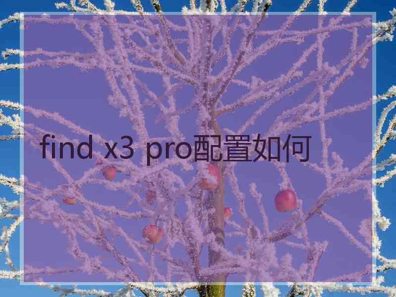 find x3 pro配置如何