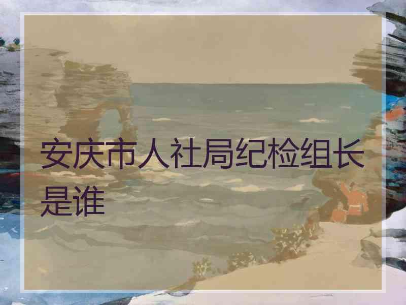 安庆市人社局纪检组长是谁