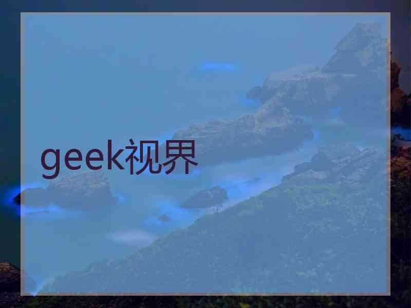 geek视界