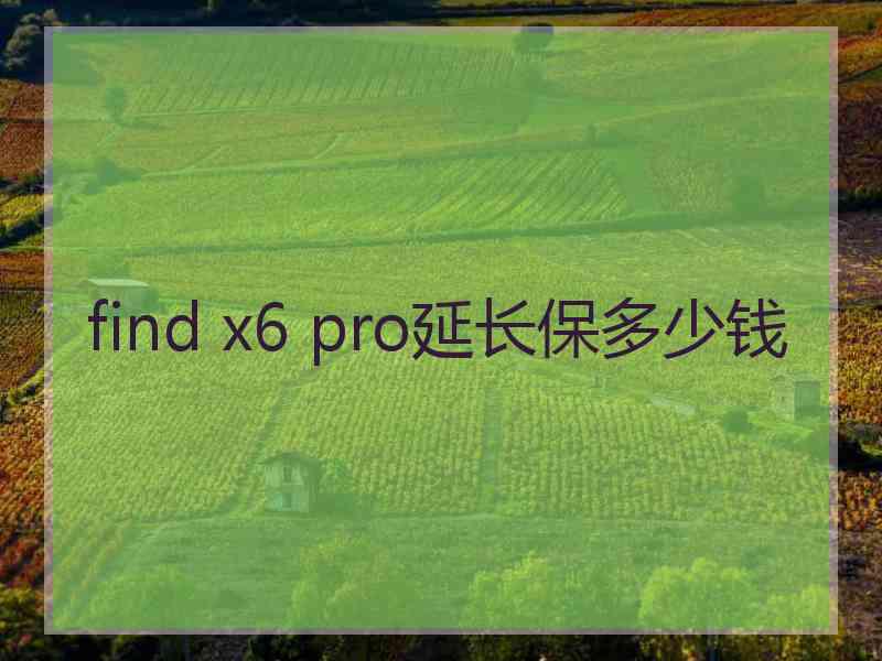 find x6 pro延长保多少钱