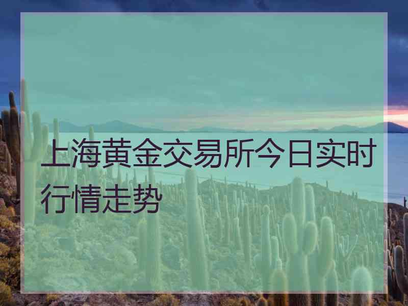 上海黄金交易所今日实时行情走势