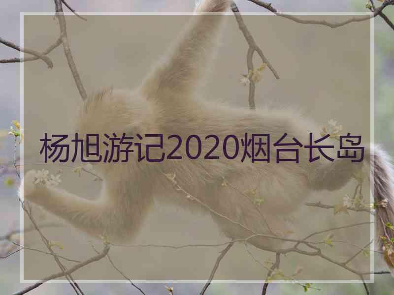 杨旭游记2020烟台长岛