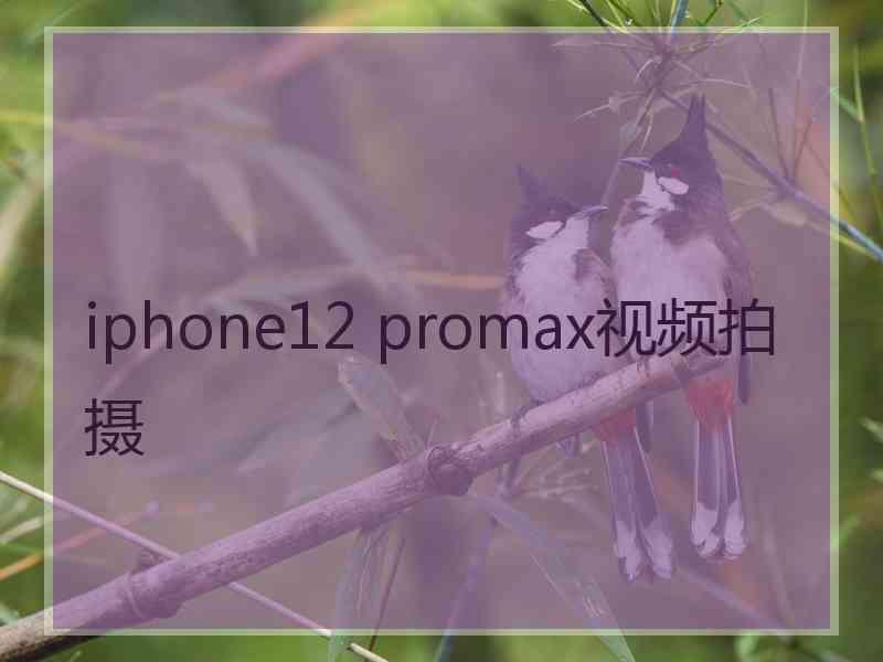 iphone12 promax视频拍摄